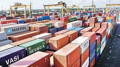 দৃশ্যমান হচ্ছে কনটেইনার কোম্পানির কার্যক্রম