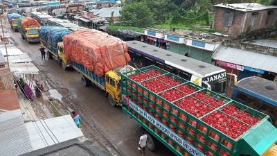দৌলতদিয়া ঘাটে পারাপারের অপেক্ষায় যানবাহনের দীর্ঘ সারি