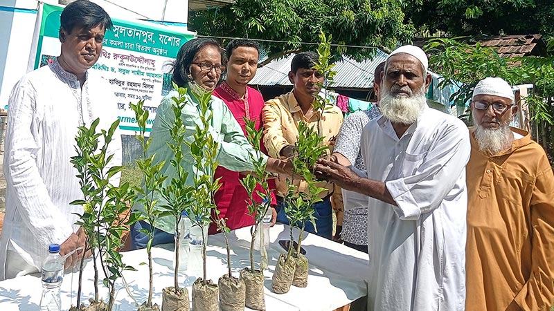 যশোরের সুলতানপুরকে কমলার গ্রামে রূপান্তরের উদ্যোগ