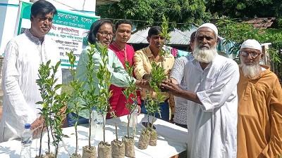 যশোরের সুলতানপুরকে কমলার গ্রামে রূপান্তরের উদ্যোগ