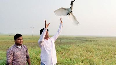 নাটোরে ৩ শতাধিক বক উদ্ধার