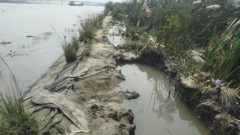 কেটে নেয়া হচ্ছে বরিশাল নগর রক্ষাবাঁধের মাটি