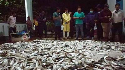রামগতিতে ২০ মণ জাটকা জব্দ, সাত ব্যবসায়ীকে জরিমানা