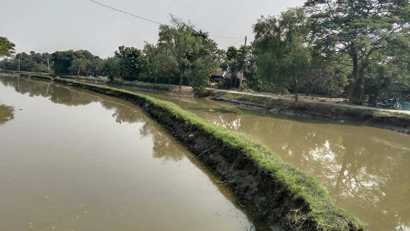 নদীতে বাঁধ দেয়ায় বিপন্ন কয়েক হাজার বিঘা আবাদি জমি