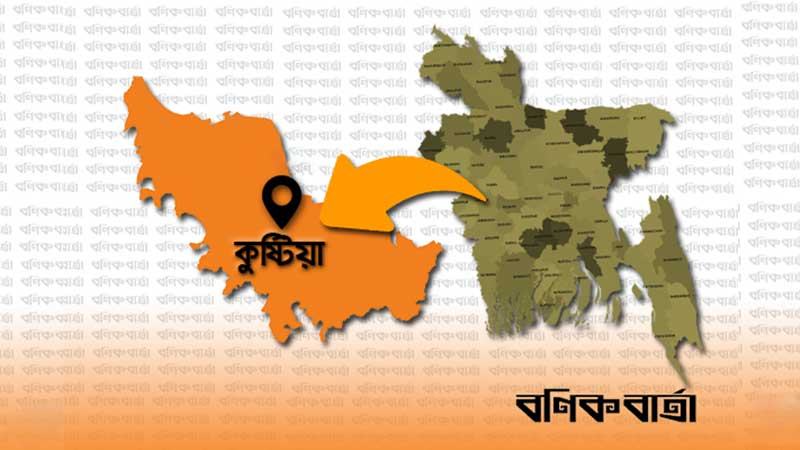 কুষ্টিয়ায় একসঙ্গে জন্ম নেয়া পাঁচ নবজাতকেরই মৃত্যু