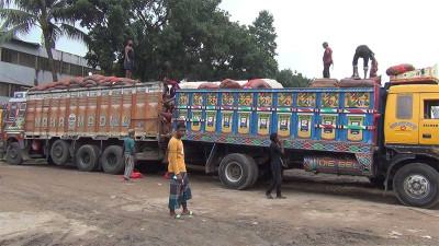 হিলিতে কেজিতে ১০ টাকা কমেছে কাঁচামরিচের দাম