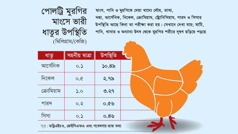 ক্ষতিকর পাঁচ ধাতুর উচ্চমাত্রার  উপস্থিতি বাড়াচ্ছে স্বাস্থ্যঝুঁকি