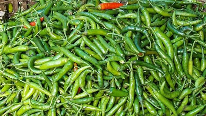 কাঁচামরিচের দাম কমায় ভারত থেকে আমদানি বন্ধ