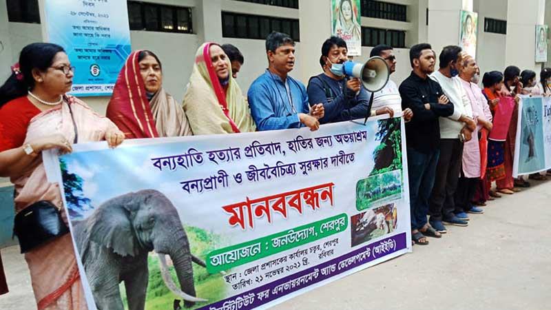 শেরপুরে বুনোহাতি হত্যার প্রতিবাদে মানববন্ধন