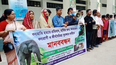 শেরপুরে বুনোহাতি হত্যার প্রতিবাদে মানববন্ধন