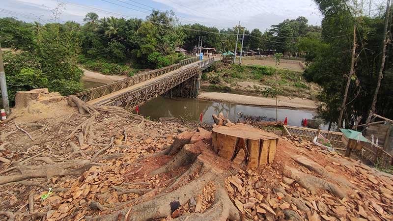 প্রশাসনের অনুমতি ছাড়াই কেটে ফেলা হলো শতবর্ষী গাছ