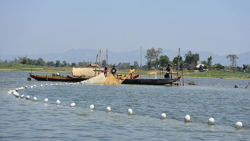 প্রাকৃতিক চার প্রজনন কেন্দ্রের দুটিই নষ্ট