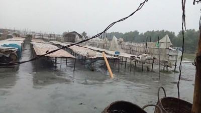 ব্যাপক বৃষ্টিতে সুন্দরবনে ২ কোটি টাকার শুটকির ক্ষতি!