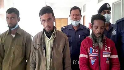 বড় ভাইকে হত্যার দায়ে ছোট দুই ভাইসহ তিনজনের মৃত্যুদণ্ড
