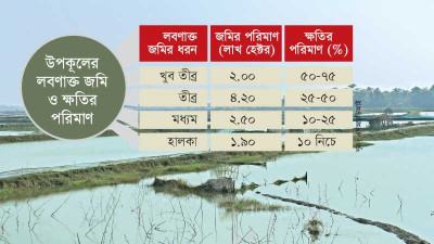 লবণাক্ততায় ৩০ লাখ টন খাদ্যশস্য উৎপাদন বঞ্চিত উপকূলীয় অঞ্চল