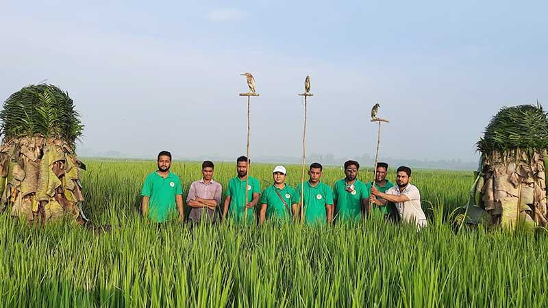 পরিবেশকর্মীদের তত্পরতায় পাখি বাড়ছে চলনবিলে