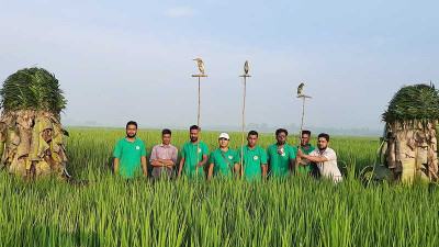 পরিবেশকর্মীদের তত্পরতায় পাখি বাড়ছে চলনবিলে