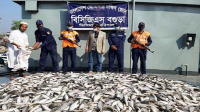 বরিশালে ১৪শ কেজি জাটকা জব্দ