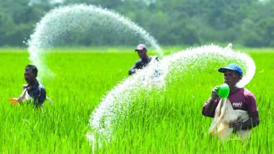 যশোরে ১৬ হাজার কৃষক পেয়েছেন সার ও বীজ