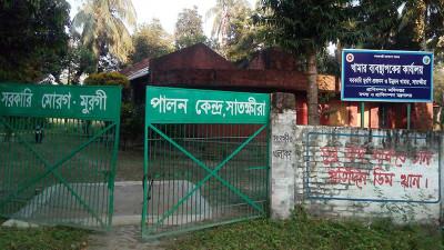 এক যুগ উৎপাদন বন্ধ ডিম ফোটানো মেশিন নষ্ট