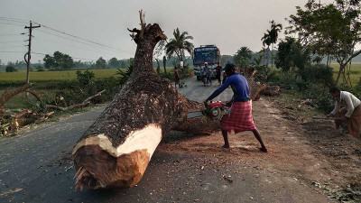 যান চলাচল ঝুঁকিমুক্ত করার নামে বৃক্ষ নিধন