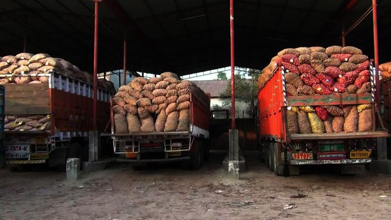 হিলি স্থলবন্দরে পেঁয়াজের দাম কমে ১৯ টাকা