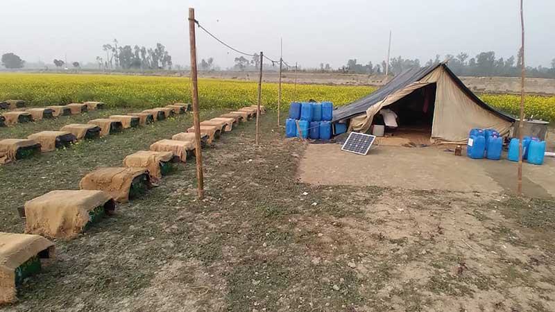 মধু সংগ্রহের লক্ষ্যমাত্রা পূরণ না হওয়ার শঙ্কা