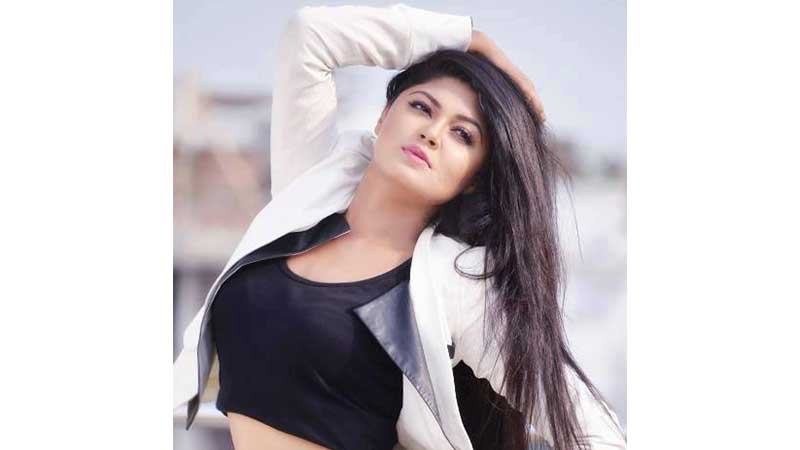 ব্যবসার দিকে ঝুঁকছেন মৌসুমী হামিদ