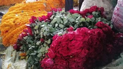বর্ষবরণে গদখালীতে দেড় কোটি টাকার ফুল বিক্রি