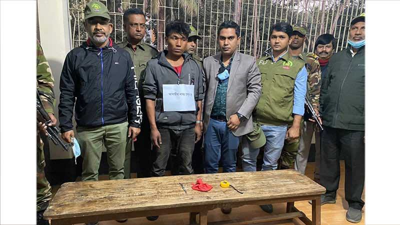 বান্দরবানে বিরল প্রজাতির তক্ষকসহ পাচারকারী আটক