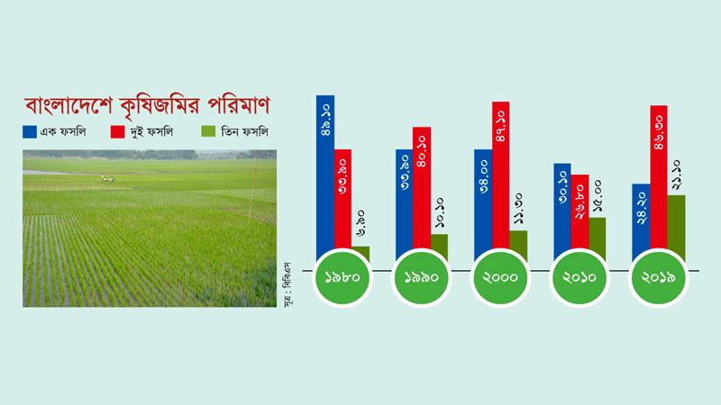 আবাদি জমি কমলেও চার দশকে বেড়েছে দুই ও তিন ফসলি জমি