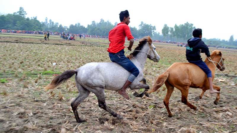 বগুড়ায় ঘোড়দৌড় দেখতে উপচে পড়া ভিড়