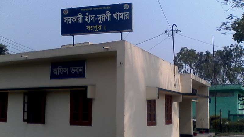 বাচ্চা উৎপাদনের লক্ষ্যমাত্রা কমানো হয়েছে ৮০ হাজার