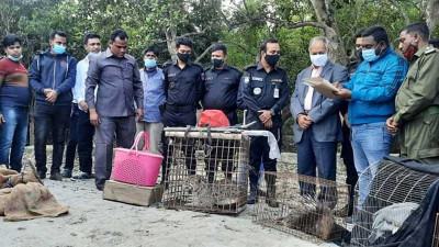 র‌্যাবের অভিযানে উদ্ধার বন্যপ্রাণী সুন্দরবনে অবমুক্ত
