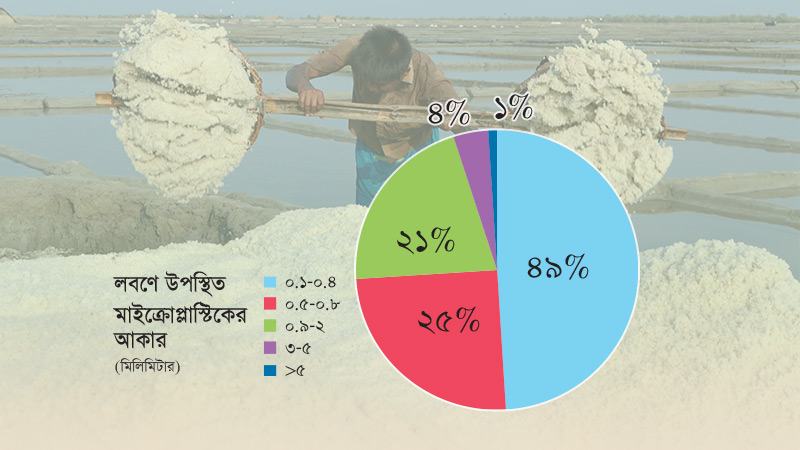 দেশের লবণে প্লাস্টিকের উদ্বেগজনক উপস্থিতি