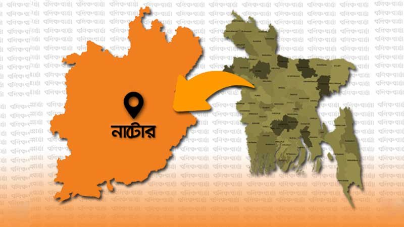 নাটোরে মাইক্রোবাসে ট্রাকের ধাক্কা, ঝরল ৬ প্রাণ