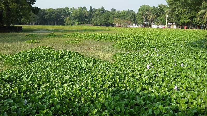 এক দশক ধরে বছরের ১০ মাস জলাবদ্ধ থাকে খেলার মাঠ