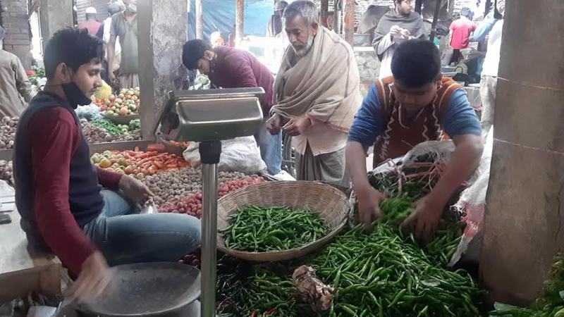 কাঁচা মরিচের দাম কেজিতে ১৫ টাকা বৃদ্ধি