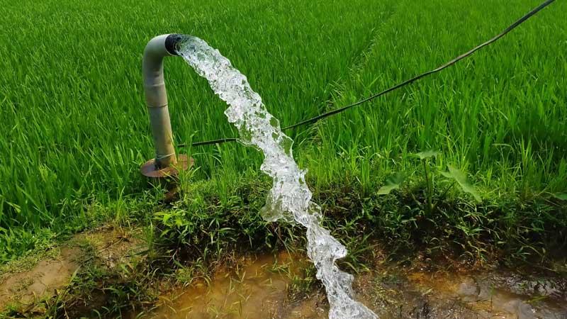 জয়পুরহাটে সেচ নিয়ে বিপাকে পাম্প মালিকরা