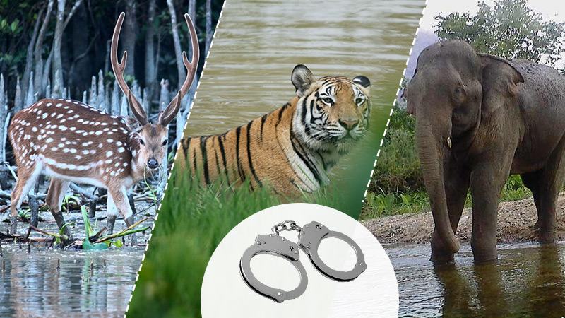 জামিন অযোগ্য অপরাধ গণ্য হবে বিপন্ন প্রাণী হত্যা