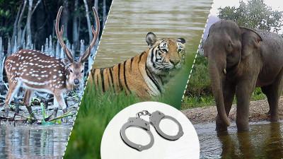জামিন অযোগ্য অপরাধ গণ্য হবে বিপন্ন প্রাণী হত্যা