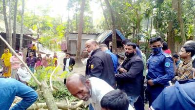 লক্ষ্মীপুরে গাছচাপায় শিশুর মৃত্যু, আহত ৩