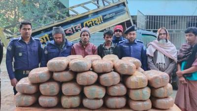 ব্রাহ্মণবাড়িয়ার বিজয়নগরে ৯২ কেজি গাঁজাসহ আটক ২