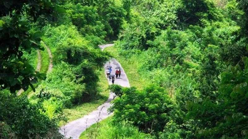 বান্দরবানে পর্যটকের ওপর হামলা চারজন কারাগারে