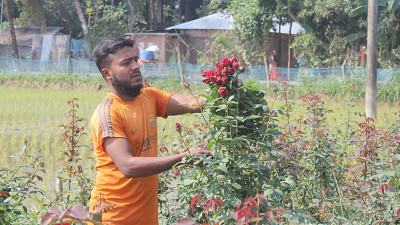 গদখালীতে ৩ কোটি  টাকার ফুল বিক্রি