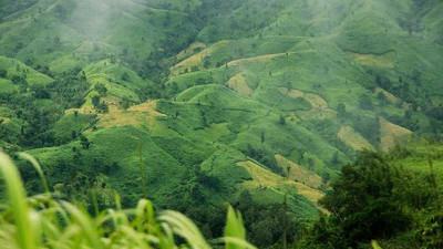 বান্দরবানে গুলিবিদ্ধ চারজনের মরদেহ উদ্ধার