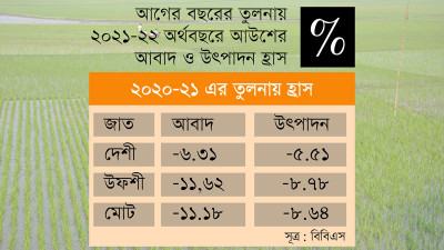 প্রণোদনা দিয়েও আউশ উৎপাদন ৯ শতাংশ কমেছে