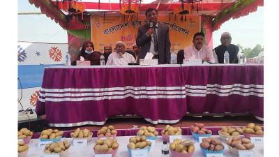 আলুর নতুন ২০ জাত সম্প্রসারণে জয়পুরহাটে মাঠ দিবস
