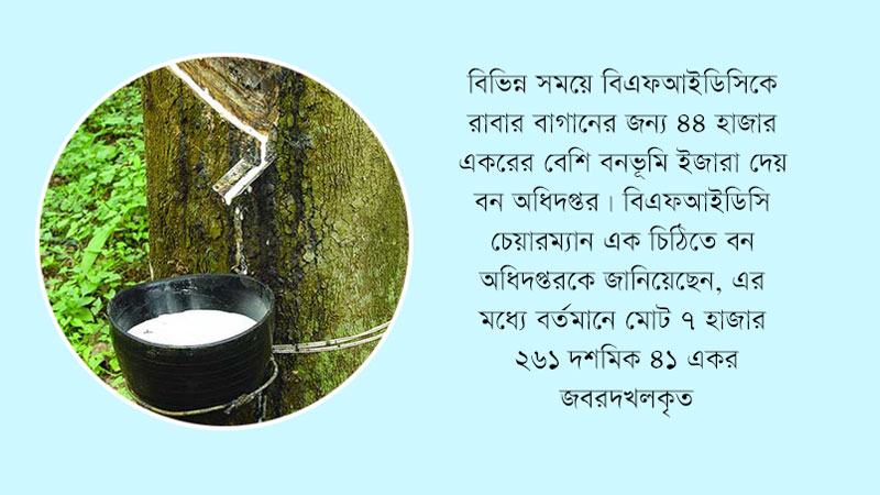 রাবার বাগানের ইজারা দেয়া ৭ হাজার একর জমি বেদখল