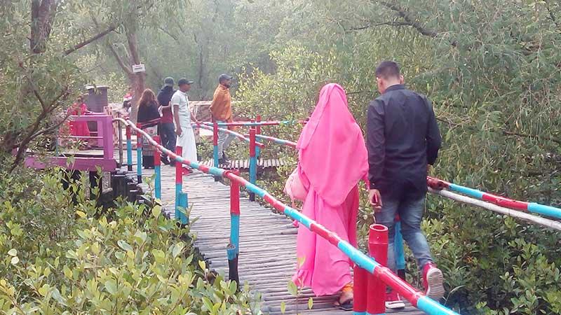 সুন্দরবনে পর্যটক বাড়লেও অবকাঠামোগত উন্নয়ন নেই